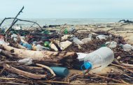 FOMENTAR LA CULTURA DE RECICLAJE