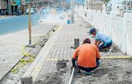 La avenida de los choferes tendrá nuevas veredas
