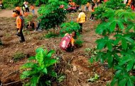 Científicos revelan técnicas para enfrentar el cambio climático.