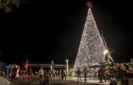 EL CONSURSO DEL ÁRBOL INSTALADO EN EL PARQUE LA ROTONDA, PORTOVIEJO, TERMINÓ CON UN GANADOR.