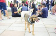 EN PORTOVIEJO SE FOMENTA LA ADOPCIÓN DE MASCOTAS.