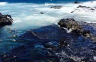 LAS BACTERIAS SON LAS RESPONSABLE DE LA DEGRADACIÓN DE HIDROCARBUROS EN EL OCEANO.
