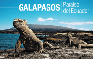 EN GALAPAGOS SE HA INCREMENTADO EL TURISMO DURANTE LOS ÚLTIMOS AÑOS.