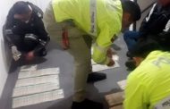 El “Abuelo”: Presunto cabecilla de red dedicada a tráfico de niños