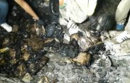 Gracias al accidente de una avioneta extranjera, autoridades investigan ruta ilegal no detectada.