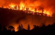 Incendió forestal cobra la vida de varios bomberos chinos.